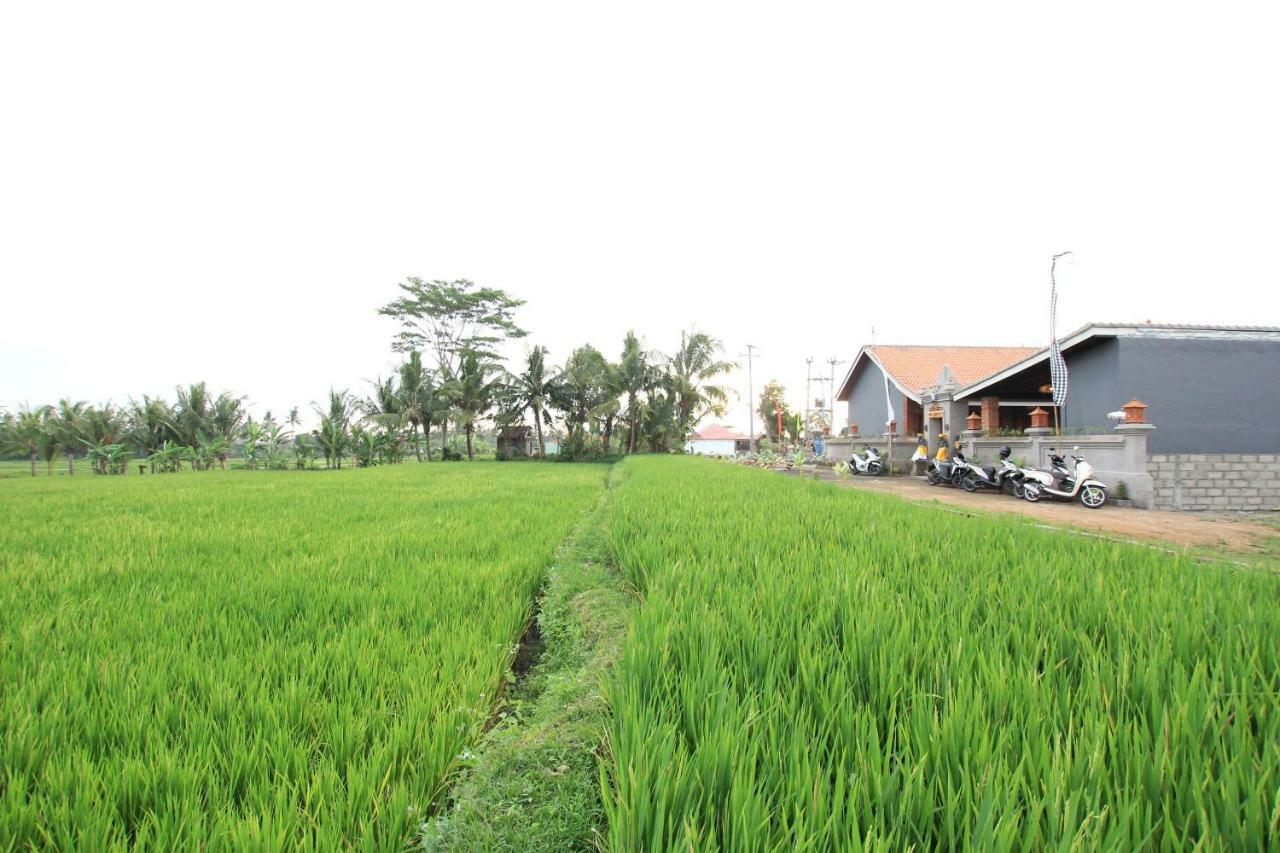 Gasthof Ayuna Family Ubud