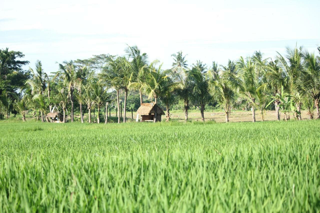 Ayuna Family 3* Ubud
